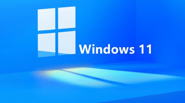 微软MSDN Windows 11 x64_22000中文预览版下载