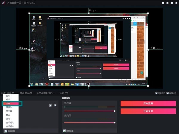 抖音直播伴侣要如何使用？