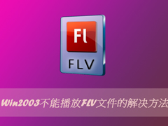 Win2003不能播放FLV文件的解决方法