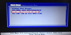 Thinkpad如何从bios设置u盘启动？Thinkpad从bios设置u盘启动的方法