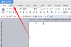 Wps怎么打分数