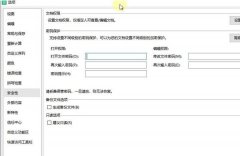 怎么设置WPS表格安全密码？WPS设置密码的方式