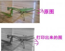 打印图片不全面怎么办？打印图片不全面的解决方法