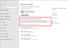 Win10 21H1 RTM版本号为Build 19043.928