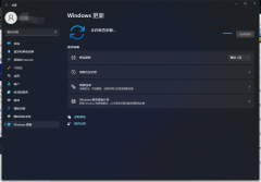 微软Win11最新KB5008353（22000.466）来啦！