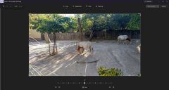 Win11照片应用更新啦！界面功能全新升级！