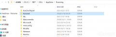 appdata里面的roaming文件可以删除吗？