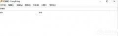everything软件搜索不到文件了怎么办？无法搜索全部文件的解决方法