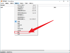 Everything软件怎么设置搜索范围只搜索图片？