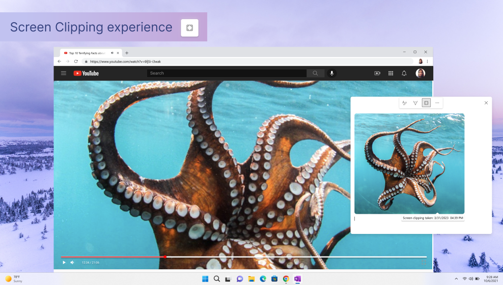 微软更新 OneNote 应用：新增工具栏增强 Quick Note 笔记体验